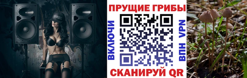 Галлюциногенные грибы прущие грибы  Медвежьегорск 